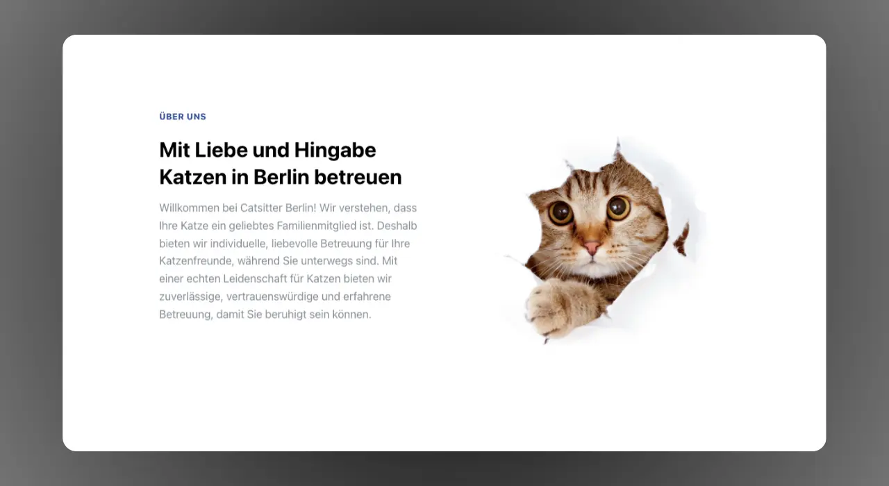 catsitterberlin.com website design